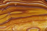 Polished Banded Rhyolite (Hickoryite) Slab - Mexico #152665-1